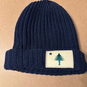 Original Maine flag chunky knit beanie featuring the 1901 Maine state flag